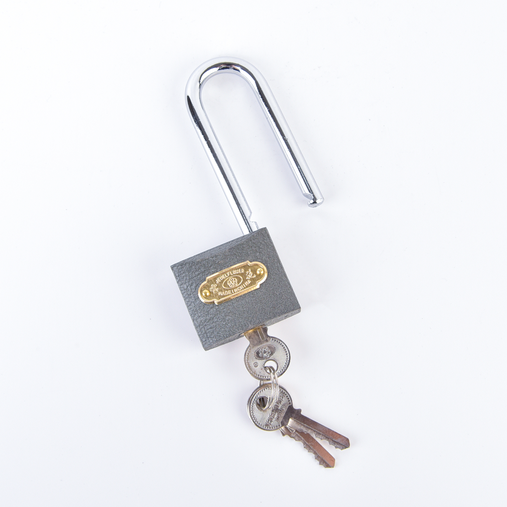 Rarlux Medium Grey Iron Padlock High Security Master Lock with Long Shackle Key Unlock Way