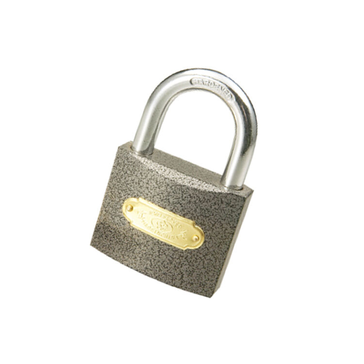 Rarlux 32-75mm Cheap Price Durable High Safety High Quality Steel Padlocks Padlock Plastic Painted Cross Key Iron Padlock