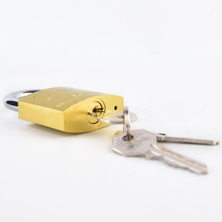 Rarlux All Size New Product Hot Sale Long Shackle Iron Padlock with Brass Painted