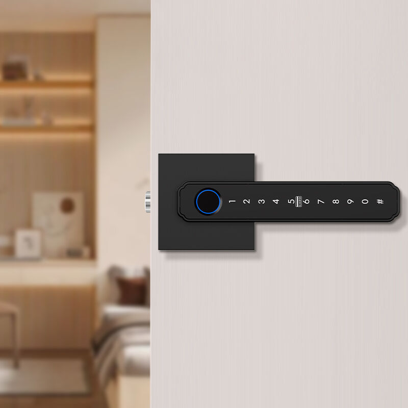 Tuya  Smart Lock Electronic Keypad Entry Door Auto Lock Password Smart Handle Fingerprint Door Lock