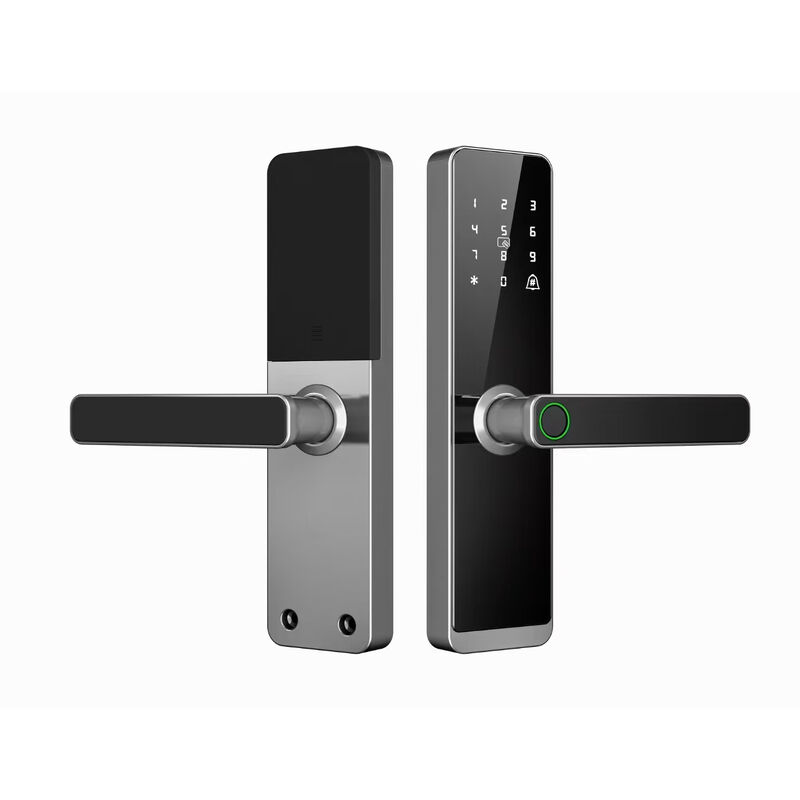 Home Security WIFI Tuya APP Smart Fingerprint Padlock Digital Intelligent Electric Smart Door Lock for Your Home System with TT